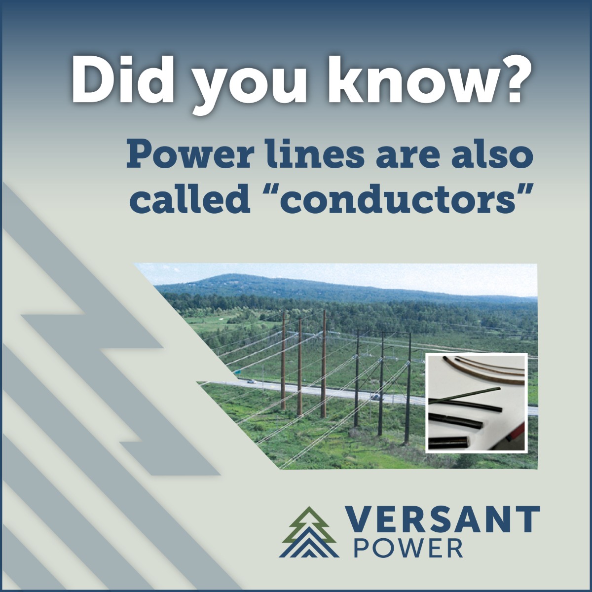 Versant Power 'Did You Know' graphic explaining that power lines are called conductors.