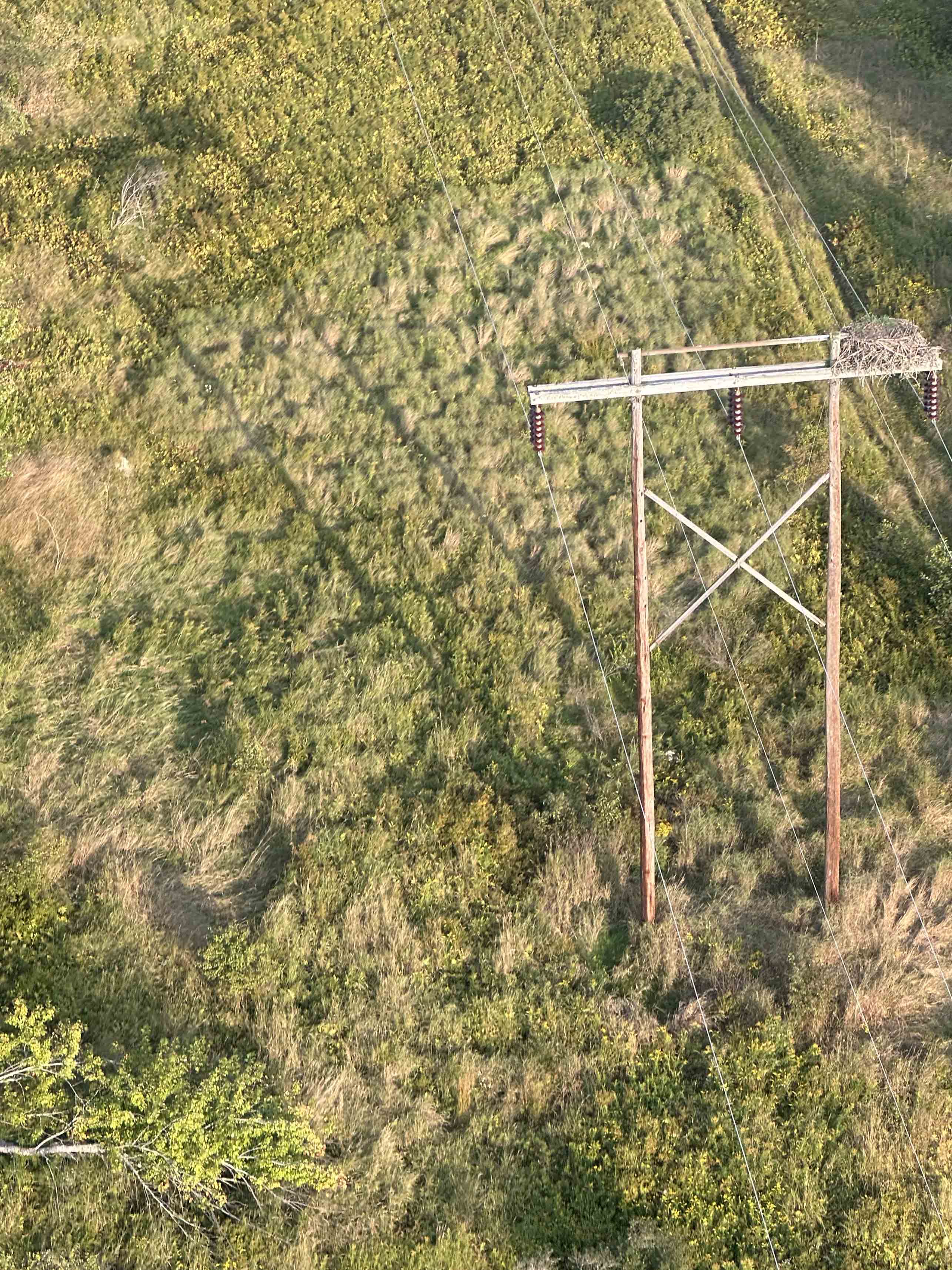 Aerial inspection picture