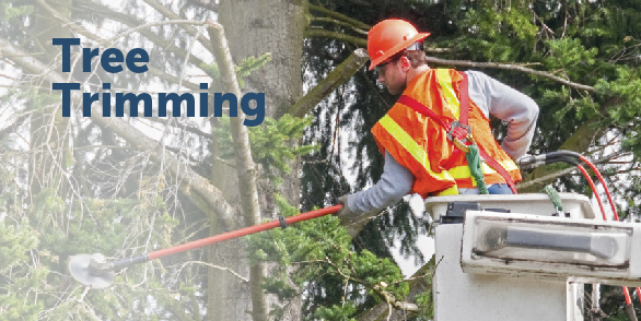 Tree trimming image