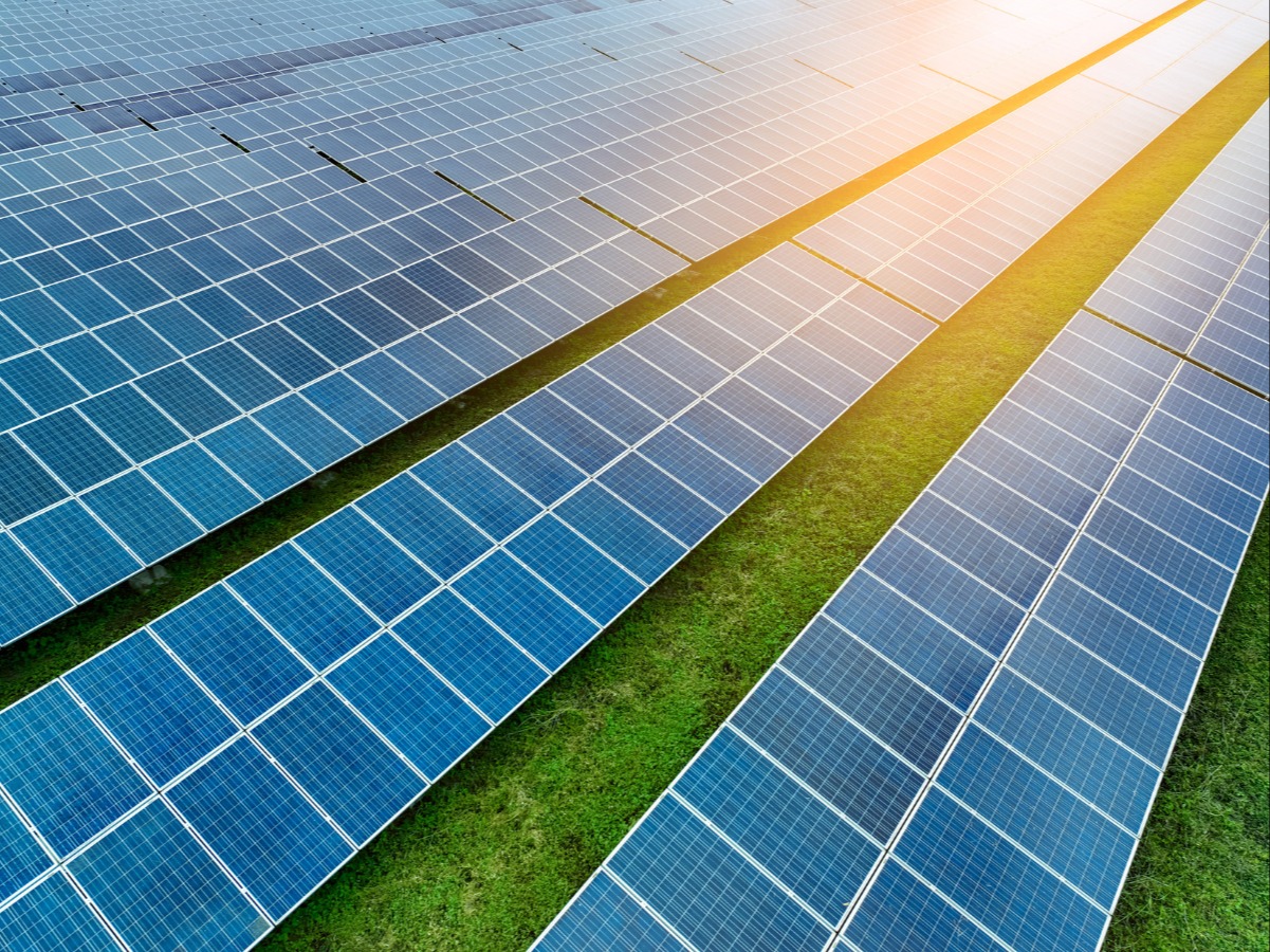 Rows of solar photovoltaic panels at a large-scale solar farm integrated into the Versant Power grid.