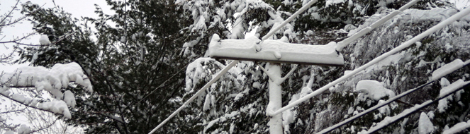 power lines covered in snow